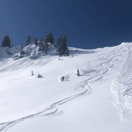 Powder on Alta's Baldy Shoulder