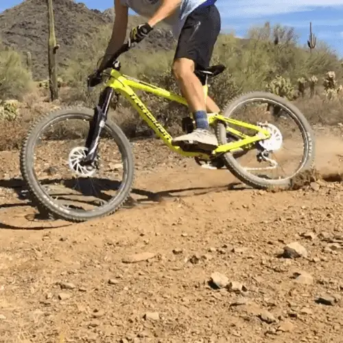 Skate shoe on mountain bike