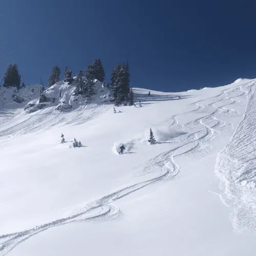 Powder skiing on baldy shoulder